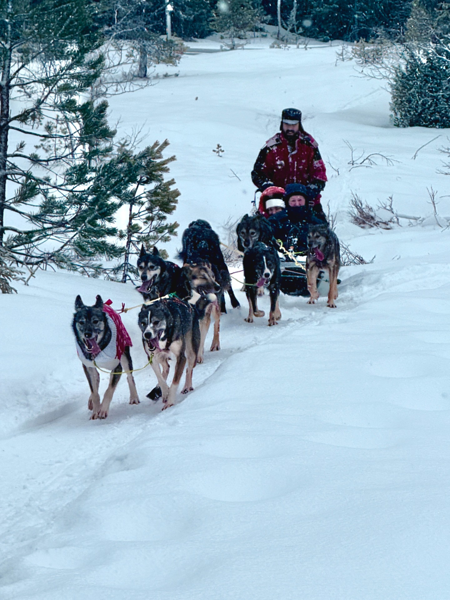Shara and Jan out having fun in Bymarka Trondheim